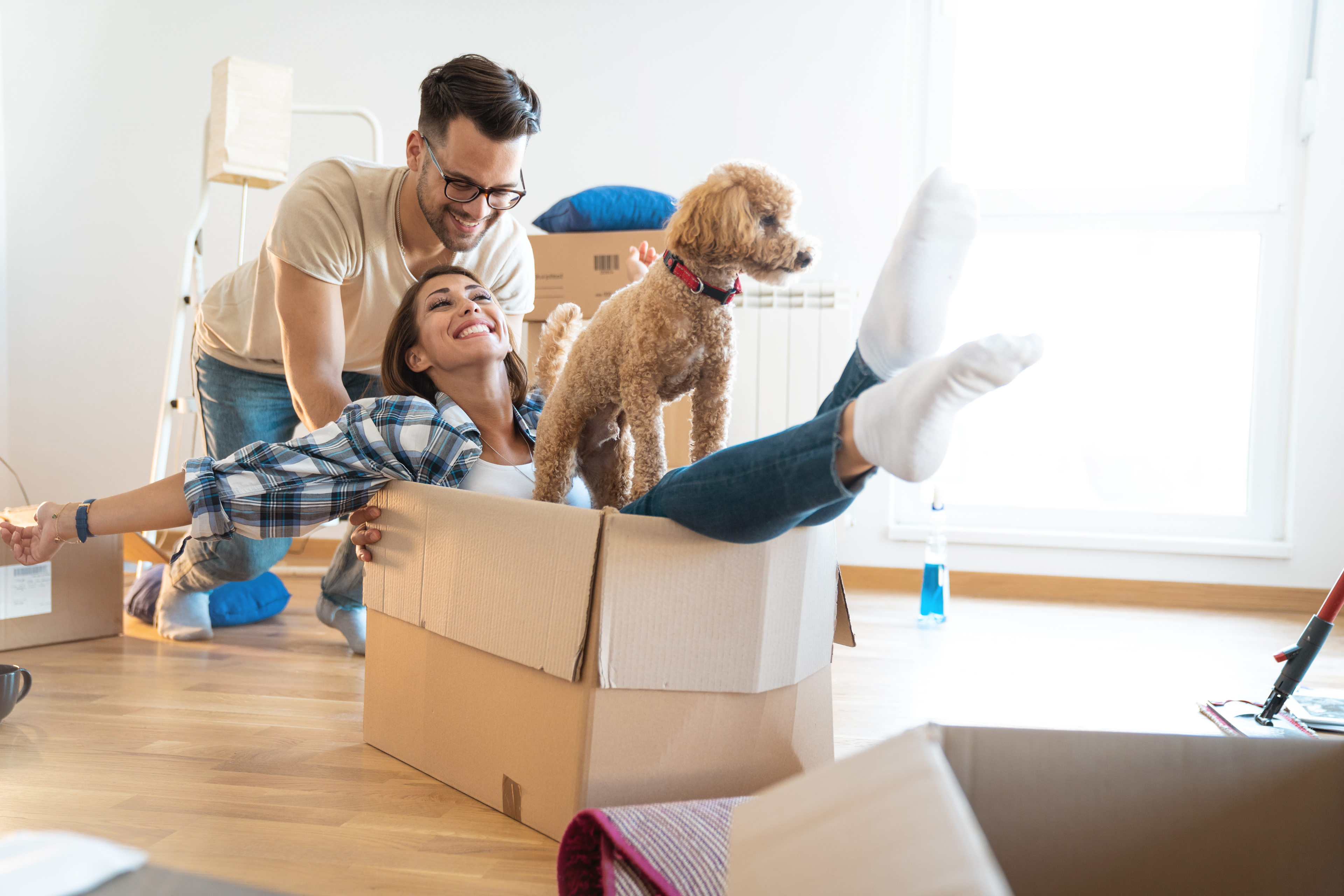 Boyfriend & Girlfriend move box with dog in 